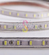 Светодиодная лента Тейп Лайт 60SMD5730, 220В, 13х6,5мм, белая, IP67, 100м, Neon-Night