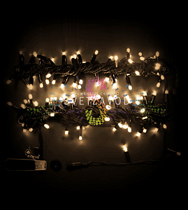 Гирлянда-нить Стринг Лайт, 24В, мерцающая, теплая белая, 10м, черный ПВХ, IP65, Rich Led