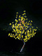 Светодиодный куст Сакуры, 0,8 м, Ø0,8 м, 224 LED, желтый