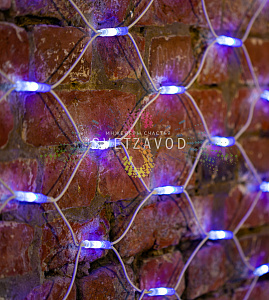 Световая сеть, 2х3м, 220В, синяя+белая, белый каучук, IP67, с контроллером, Neon-Night