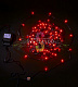 Клип Лайт 12В, фиксинг, красный, 200 LED, 30м, темно-зеленый ПВХ, с трансформатором, IP64