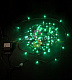 Клип Лайт 12В, фиксинг, зеленый, 200 LED, 30м, темно-зеленый ПВХ, с трансформатором, IP64