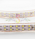 Светодиодная лента Тейп Лайт 180SMD2835, 220В, 17х6,5мм, белая, IP67, 100м, Neon-Night